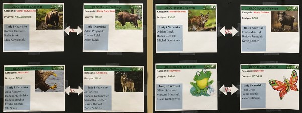 mecz_wyniki_1200_0178